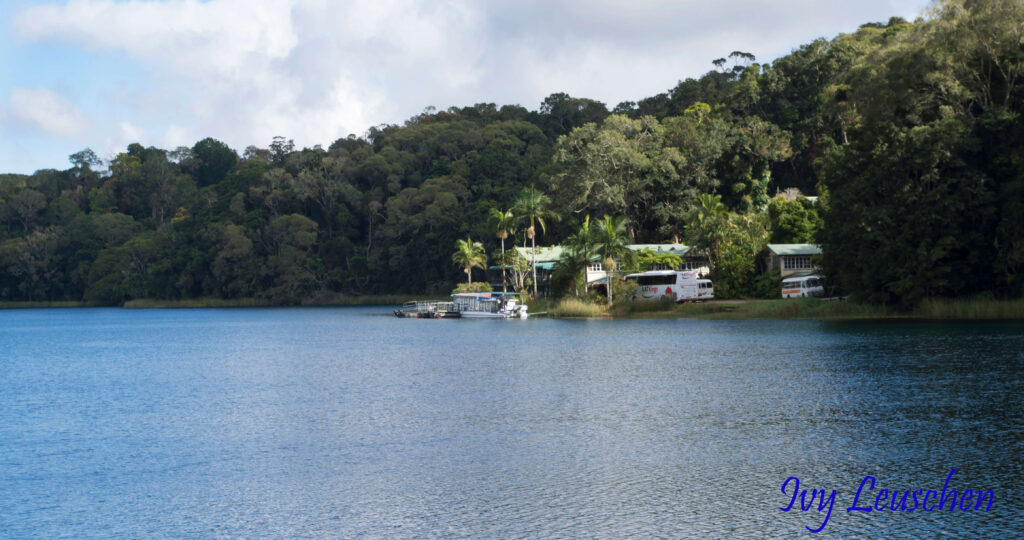 Trees along waters edge