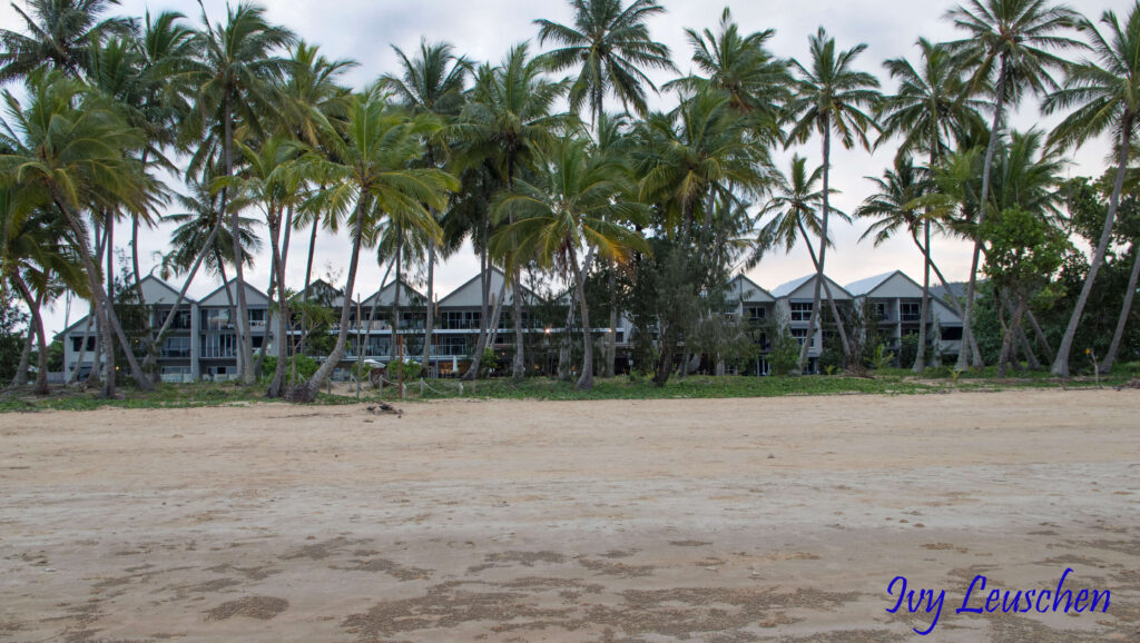 Hotel behind balm trees