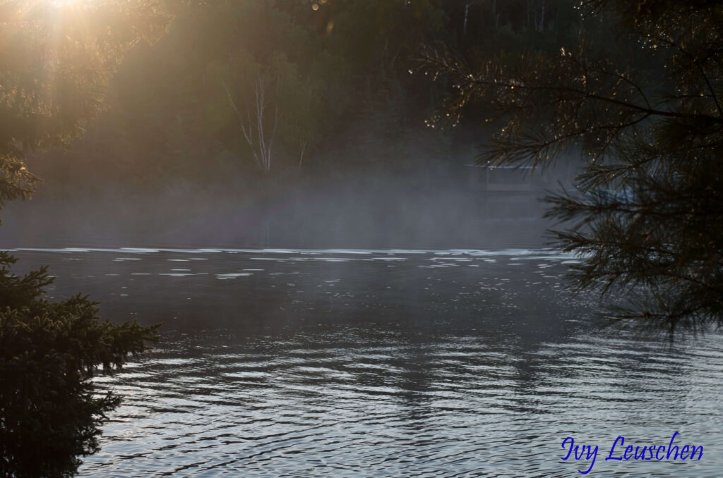 Fog over lake