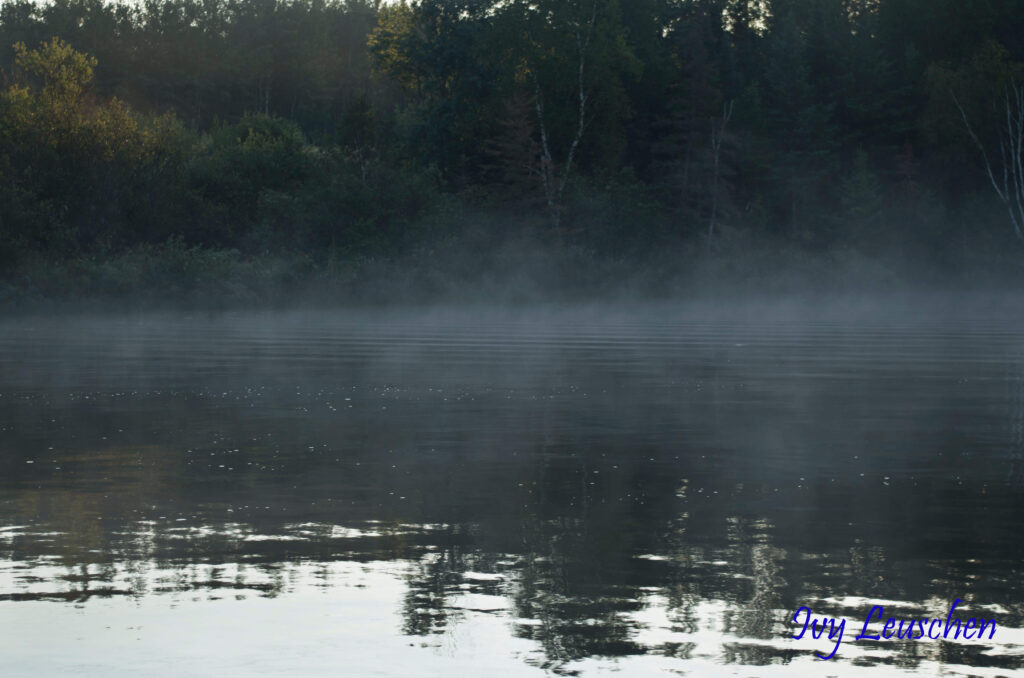 Fog over lake