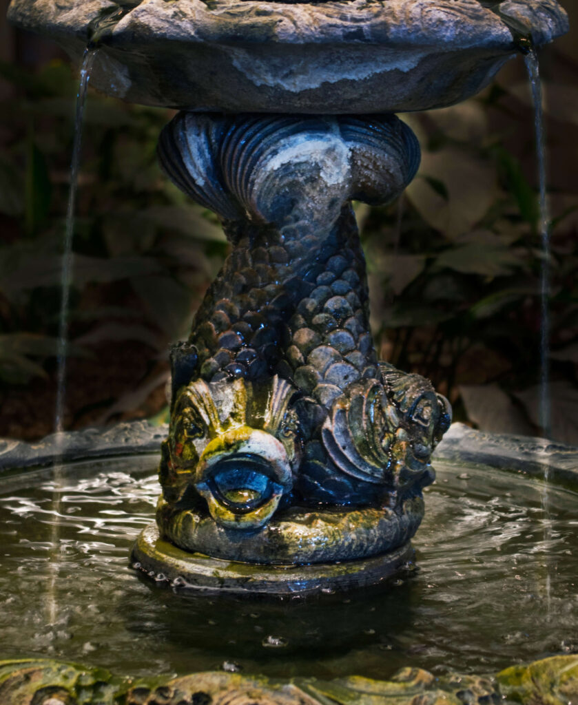Koi fish fountain