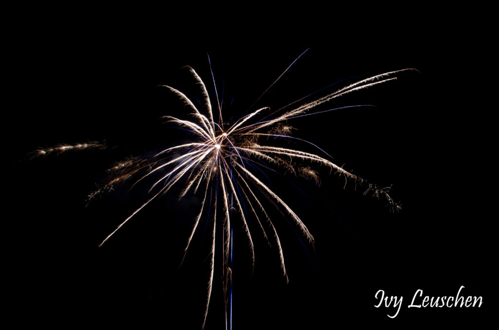 White and blue firework