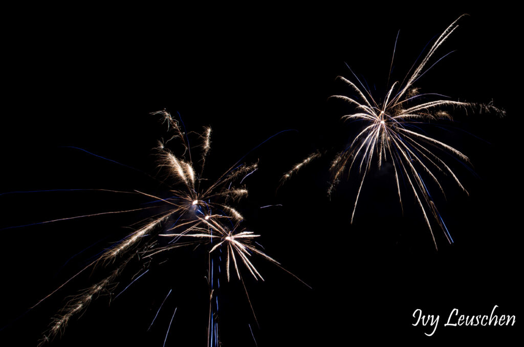 Two white and blue fireworks