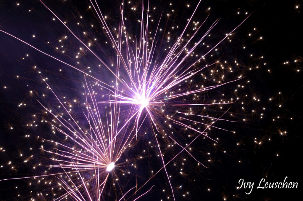 Purple, pink firework with white specks
