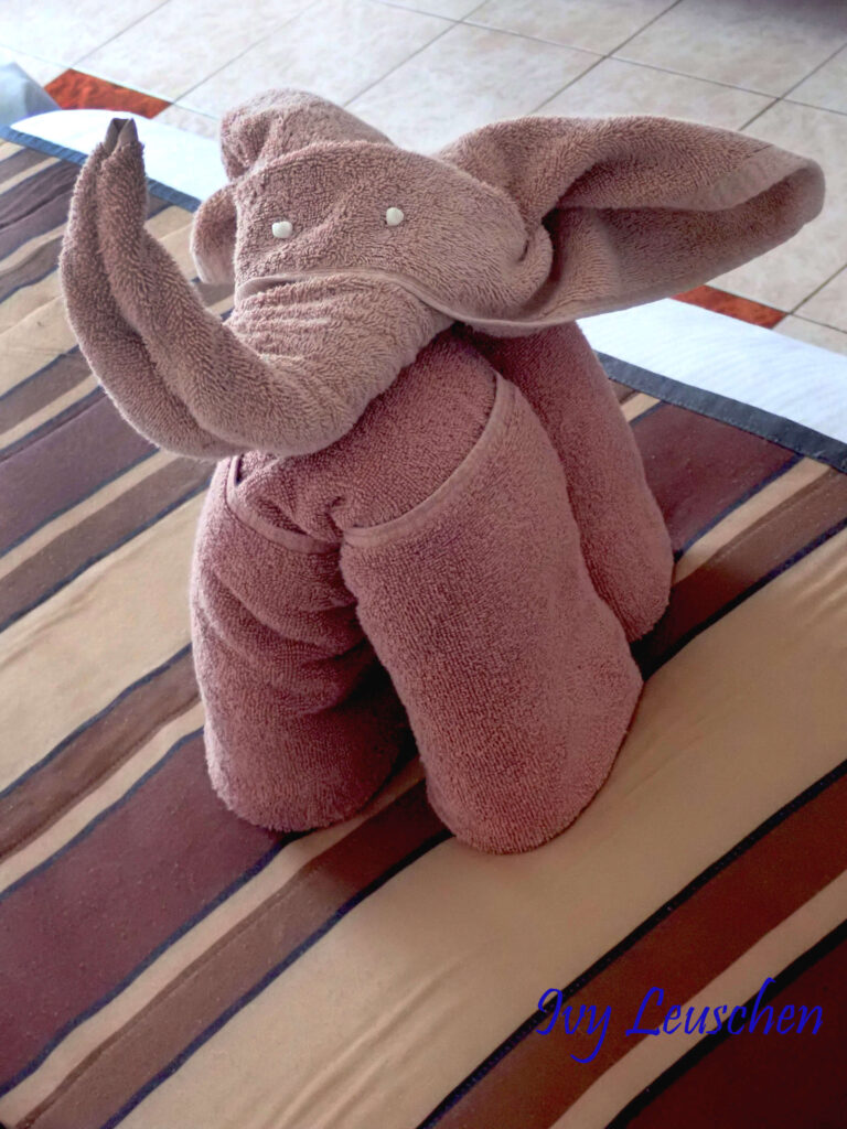 Elephant made out of towels