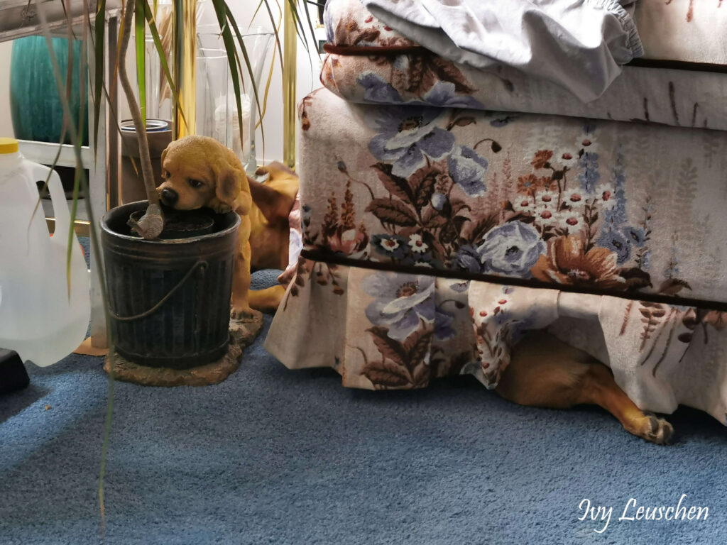 Dog hiding under couch