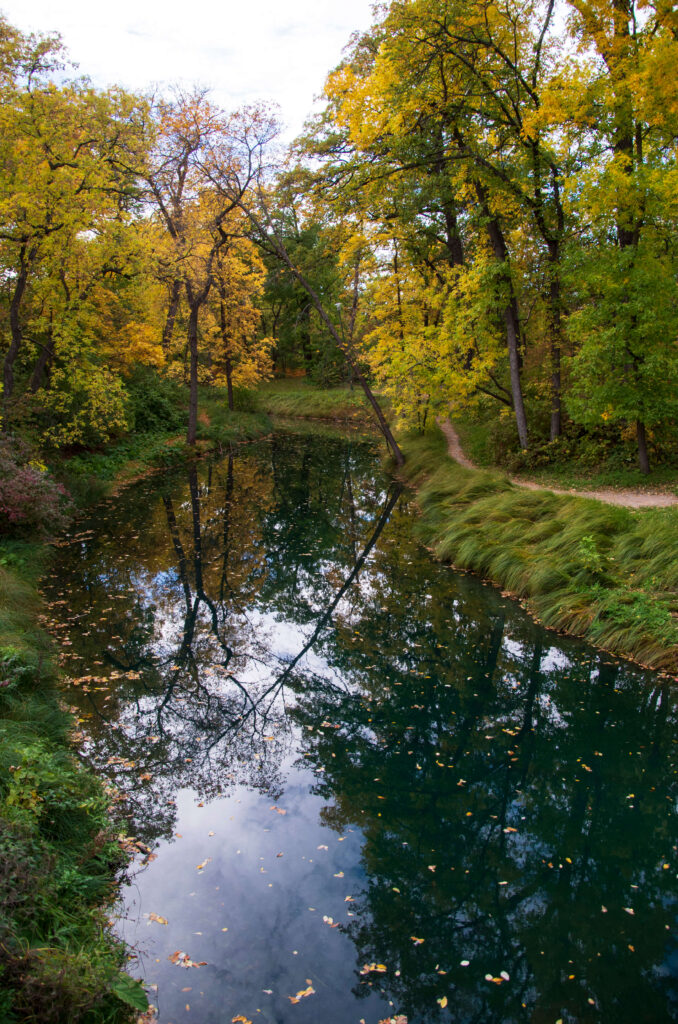 Stream running through trees in fall