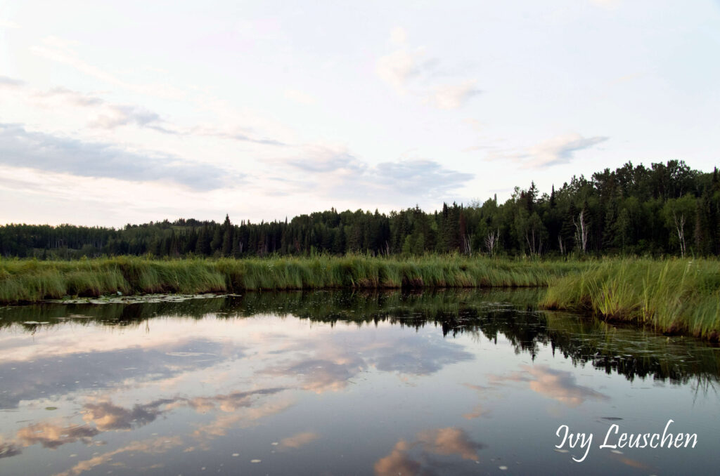 Sky with cloud reflecting in water with trees around