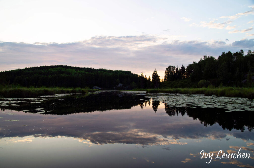 Sunset behind hill and tree with water in front