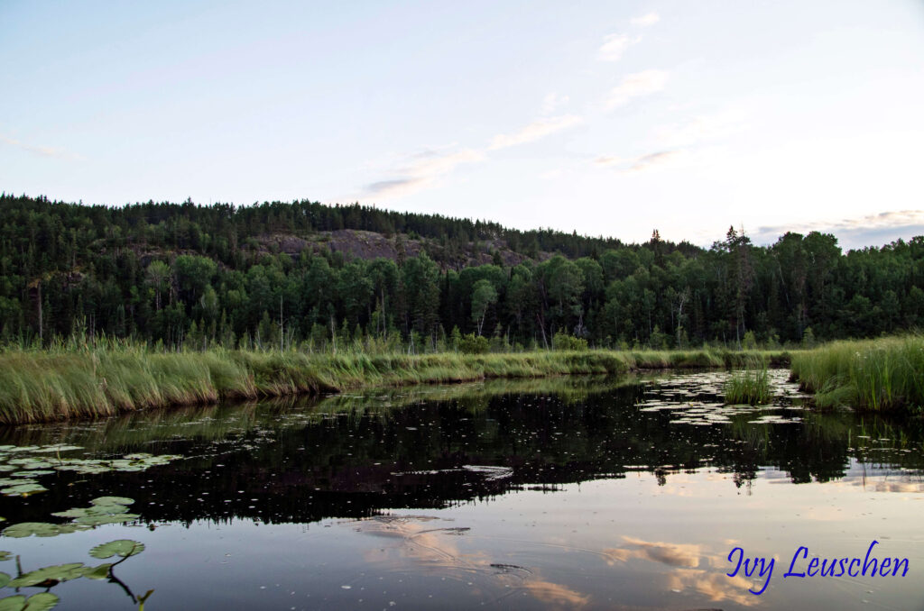 Sky with cloud reflecting in water with trees around