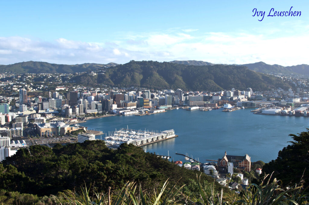 Hillside view of Wellington, New Zealand