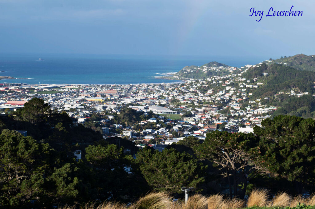 Hillside view of Wellington, New Zealand
