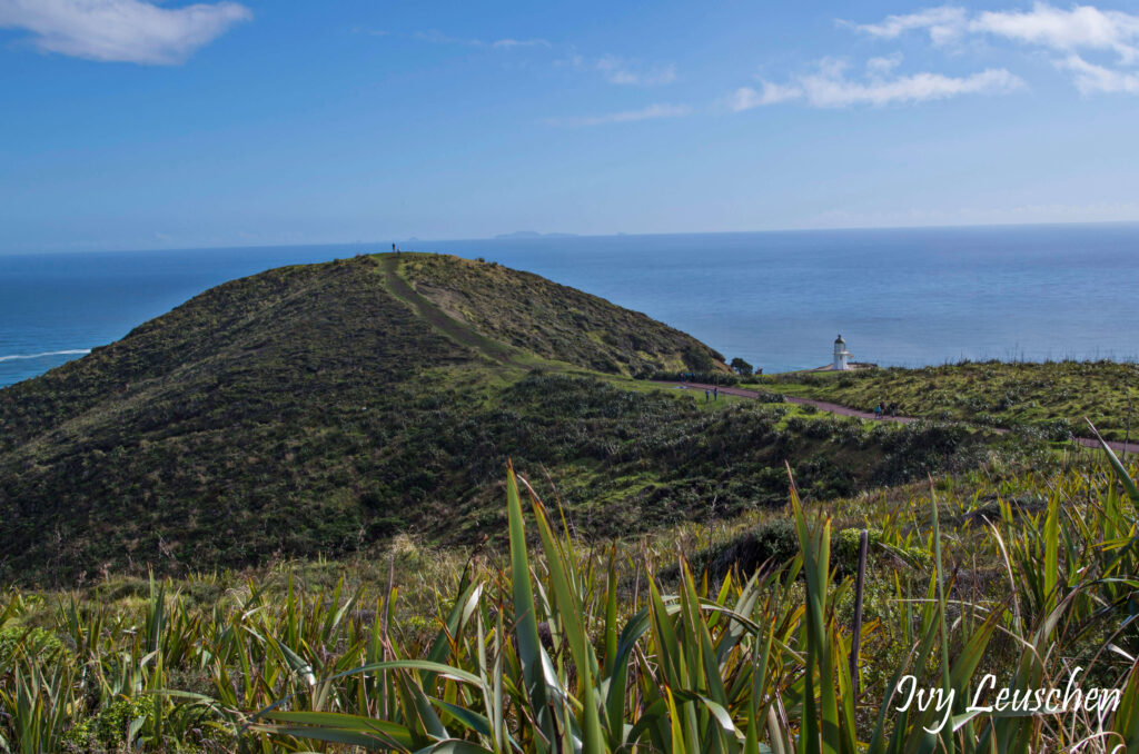 Cape Reinga