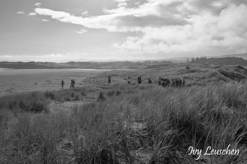 Beach in black and white