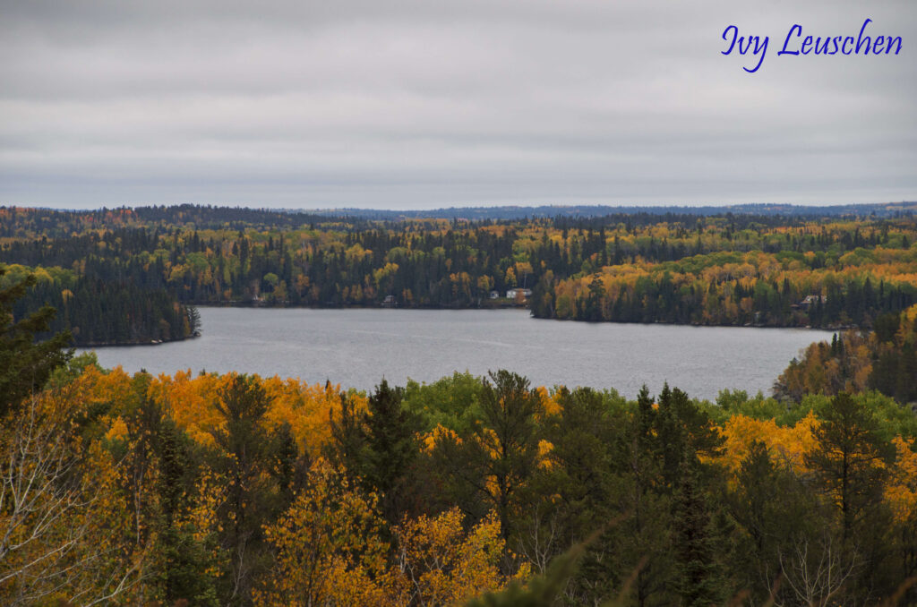 View of a lake from on top of a hill