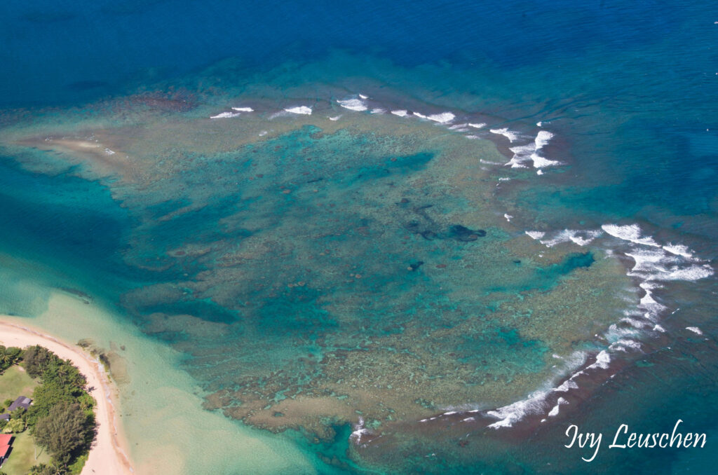 Ocean seen from plane
