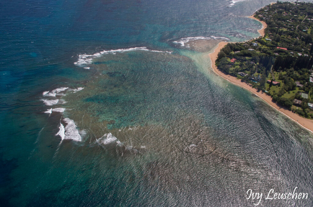 Ariel view of the ocean