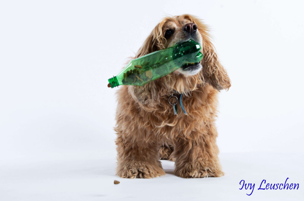 Dog dumping treats out of bottle