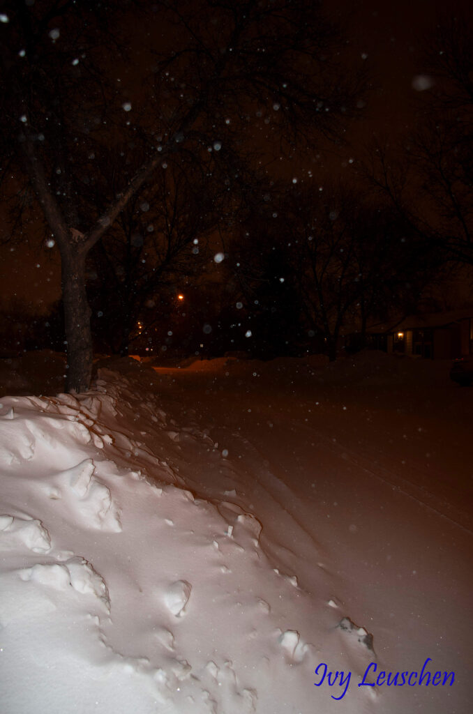 Snow falling at night